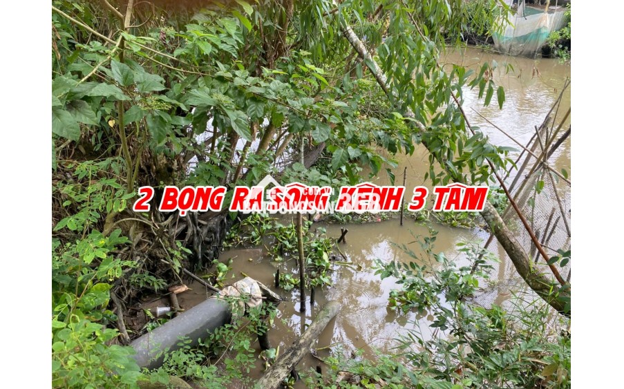 Bán đất ruộng lên ao sẵn tại Cao Lãnh